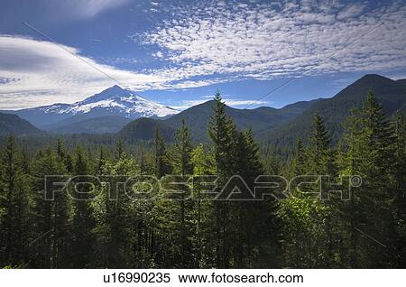 Stock Photography - USA, Oregon, Multnomah County, Landscape with Mount Hood. Fotosearch