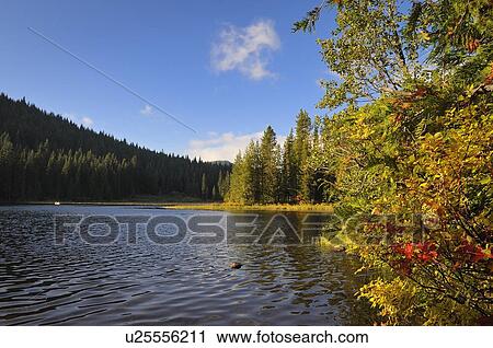 Stock Image - USA, Oregon, Multnomah County, Trillium Lake. Fotosearch