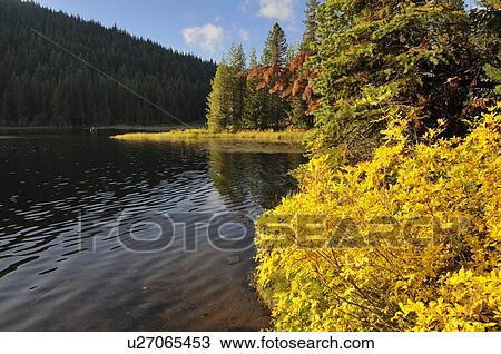 Stock Image - USA, Oregon, Multnomah County, Trillium Lake. Fotosearch