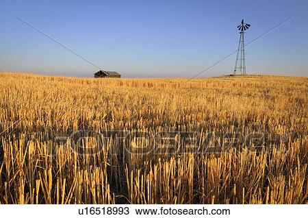 Stock Image - USA, Oregon, Wosco county, Rural scene with solitary barn. Fotosearch