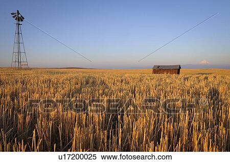Stock Photography - USA, Oregon, Wosco county, Rural scene with solitary barn. Fotosearch