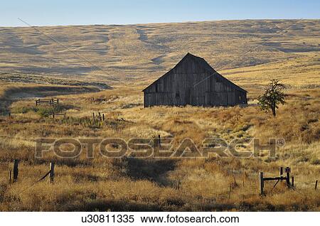 Stock Photography - USA, Oregon, Wosco county, Rural scene with solitary barn. Fotosearch