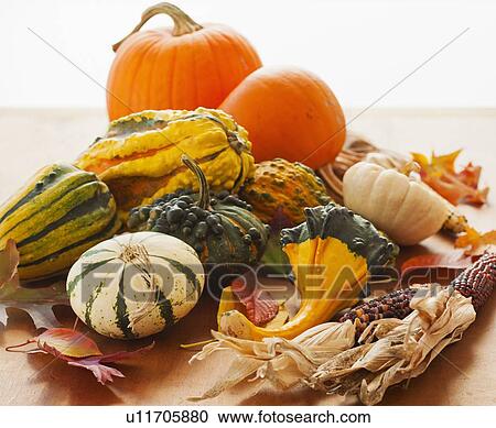 Variety of pumpkins, studio shot View Large Photo Image Stock Image - Variety of pumpkins, studio shot. Fotosearch