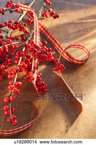 Picture - Winter berry branch. Fotosearch