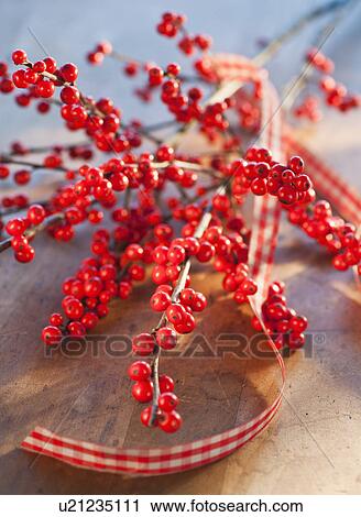 Stock Image - Winter berry branch. Fotosearch