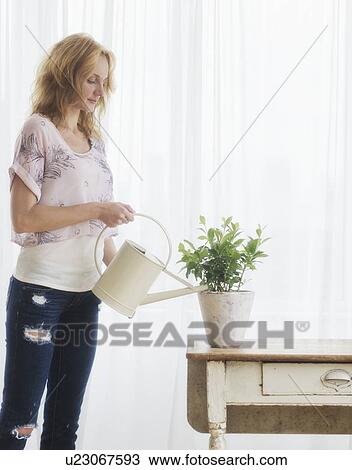 Woman watering plant at home View Large Photo Image Stock Image - Woman watering plant at home. Fotosearch