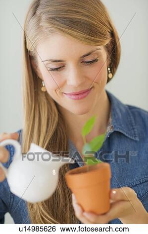 Young woman watering small plant View Large Photo Image Stock Photograph - Young woman watering small plant. Fotosearch