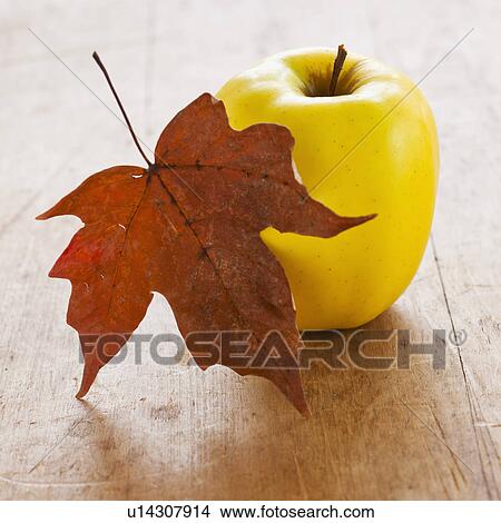 Picture - Autumn leaf and apple. Fotosearch
