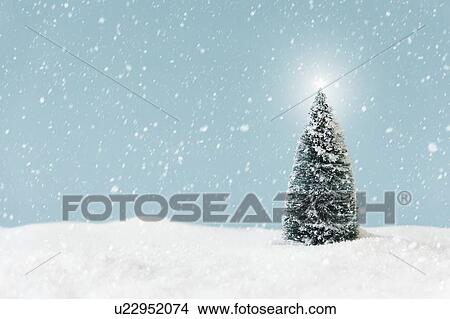 Picture - Christmas tree covering by snow, studio shot. Fotosearch