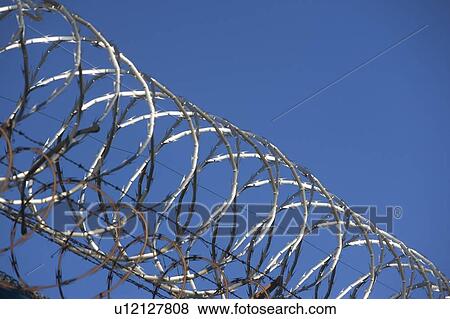 close-up of barbed wire View Large Photo Image Stock Photo - close-up of barbed wire. Fotosearch