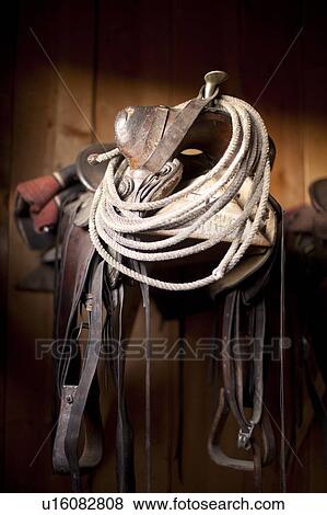 Close-up of saddle with rope View Large Photo Image Stock Photo - Close-up of saddle with rope. Fotosearch