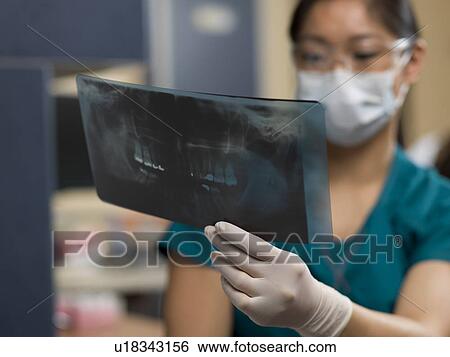 Stock Photograph - Dentist checking x-ray image. Fotosearch