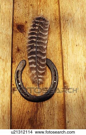 Picture - Feather and horse shoe on wooden wall. Fotosearch