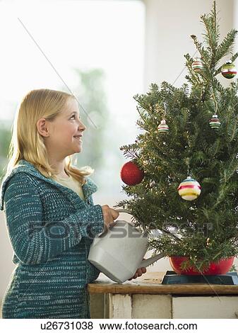 Girl (8-9) watering Christmas tree View Large Photo Image Stock Photo - Girl (8-9) watering Christmas tree. Fotosearch