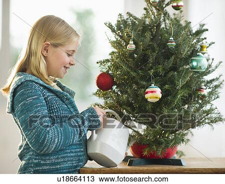 Girl watering christmas tree View Large Photo Image Stock Image - Girl watering christmas tree. Fotosearch