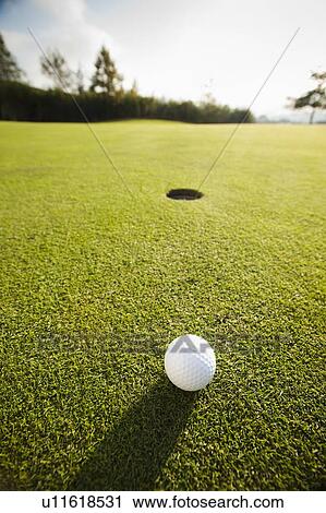Golf ball on grass View Large Photo Image Stock Image - Golf ball on grass. Fotosearch