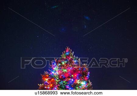 Stock Image - Low angle view of illuminated Christmas tree. Fotosearch