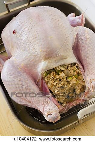 Raw turkey on roasting pan View Large Photo Image Stock Image - Raw turkey on roasting pan. Fotosearch