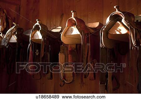 Stock Photo - Saddles in barn. Fotosearch