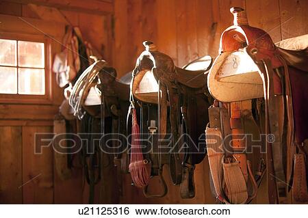 Saddles in barn View Large Photo Image Stock Photograph - Saddles in barn. Fotosearch
