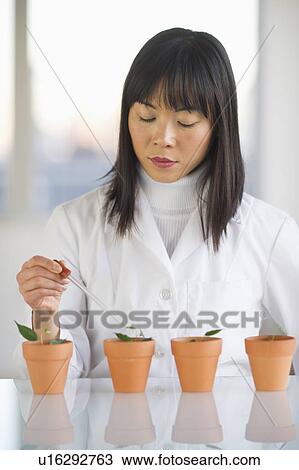 Stock Image - Scientist dropping liquid into seedlings. Fotosearch