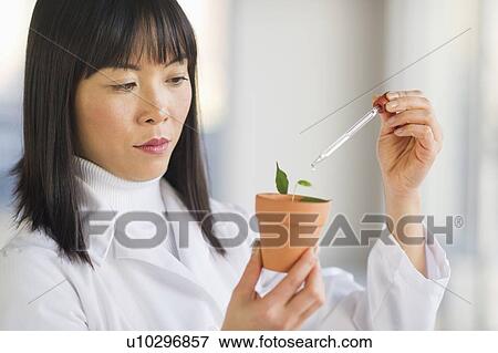 Stock Photo - Scientist dropping liquid into seedlings. Fotosearch