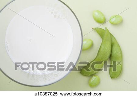 Soy milk and edamame, studio shot View Large Photo Image Stock Photography - Soy milk and edamame, studio shot. Fotosearch
