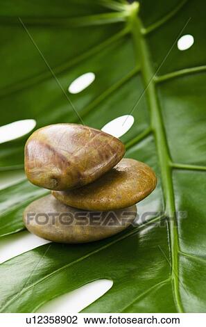 Stock Image - Spa stones on tropical leaf, studio shot. Fotosearch