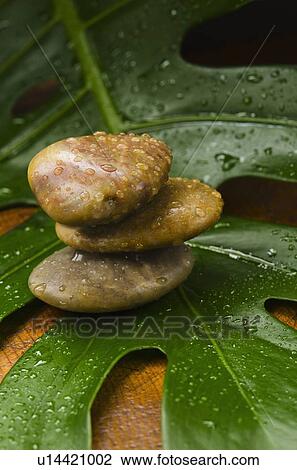 Spa stones on tropical leaf, studio shot View Large Photo Image Stock Image - Spa stones on tropical leaf, studio shot. Fotosearch