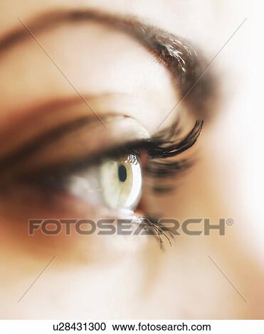 Studio close-up of woman's eye View Large Photo Image Stock Image - Studio close-up of woman's eye. Fotosearch
