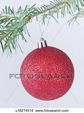 Picture - Studio shot of red Christmas ornament hanging on Christmas tree. Fotosearch