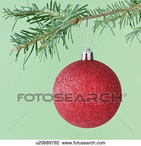 Studio shot of red Christmas ornament hanging on Christmas tree View Large Photo Image Stock Image - Studio shot of red Christmas ornament hanging on Christmas tree. Fotosearch