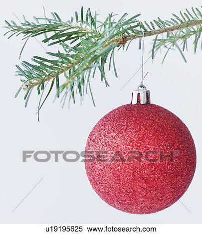 Stock Photography - Studio shot of red Christmas ornament hanging on Christmas tree. Fotosearch