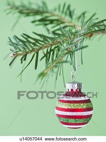 Picture - Studio shot of striped Christmas ornament hanging on Christmas tree. Fotosearch