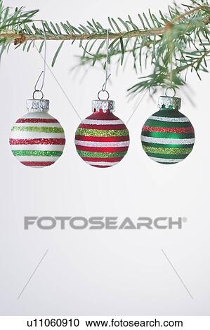Studio shot of striped Christmas ornaments hanging on Christmas tree View Large Photo Image Stock Image - Studio shot of striped Christmas ornaments hanging on Christmas tree. Fotosearch