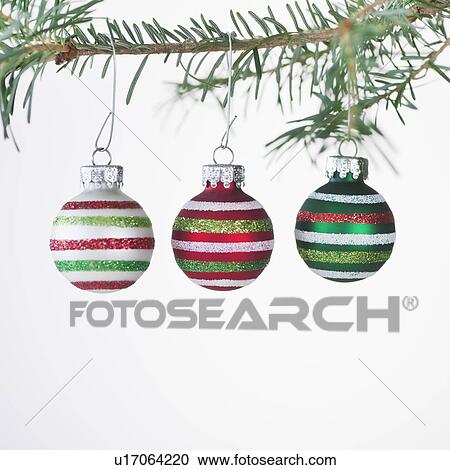 Stock Image - Studio shot of striped Christmas ornaments hanging on Christmas tree. Fotosearch