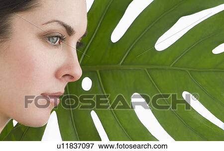 Studio shot of woman and leaf View Large Photo Image Stock Photo - Studio shot of woman and leaf. Fotosearch