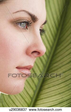 Stock Photo - Studio shot of woman and leaf. Fotosearch