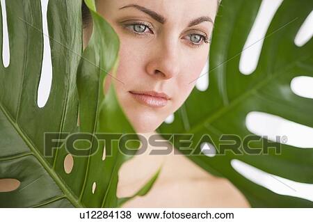 Studio shot of woman between leaves View Large Photo Image Stock Photo - Studio shot of woman between leaves. Fotosearch