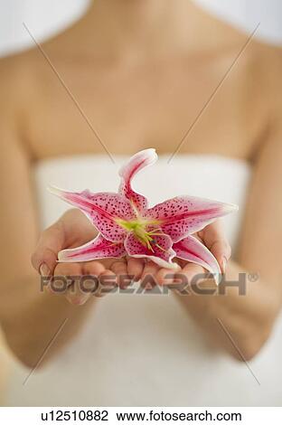 Stock Image - Studio shot of woman holding lily. Fotosearch