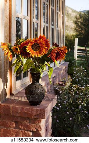 Picture - Sunflowers in vase. Fotosearch