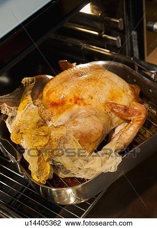 Turkey on roasting pan View Large Photo Image Stock Image - Turkey on roasting pan. Fotosearch