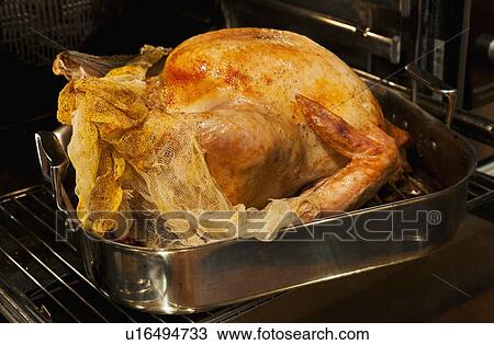 Turkey on roasting pan View Large Photo Image Stock Image - Turkey on roasting pan. Fotosearch