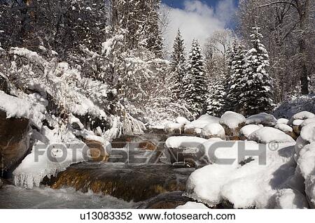Stock Image - USA, Colorado, Winter landscape. Fotosearch