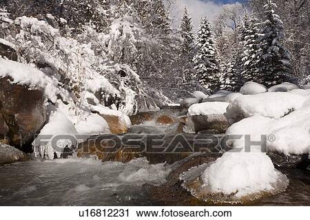 USA, Colorado, Winter landscape View Large Photo Image Stock Image - USA, Colorado, Winter landscape. Fotosearch