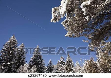 USA, Colorado, Winter landscape View Large Photo Image Stock Image - USA, Colorado, Winter landscape. Fotosearch