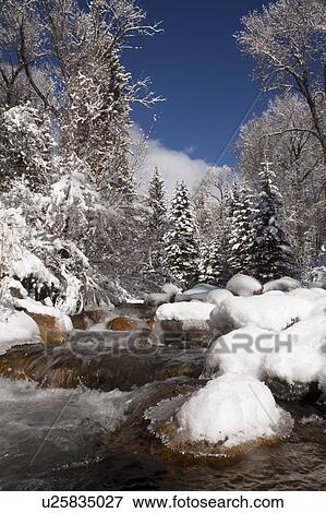 Stock Photo - USA, Colorado, Winter landscape. Fotosearch