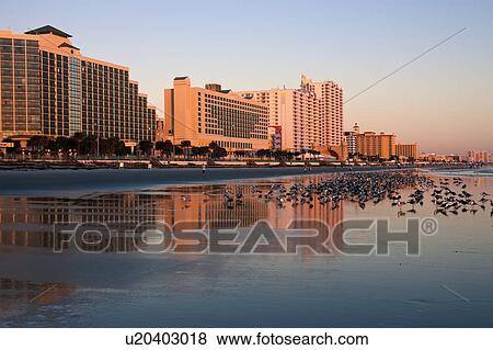 USA, Florida, Daytona Beach, Waterfront hotels View Large Photo Image Stock Photo - USA, Florida, Daytona Beach, Waterfront hotels. Fotosearch