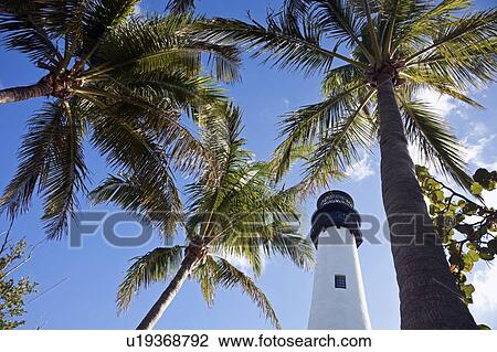 USA, Florida, Key Biscayne, Lighthouse with palm trees View Large Photo Image Stock Image - USA, Florida, Key Biscayne, Lighthouse with palm trees. Fotosearch