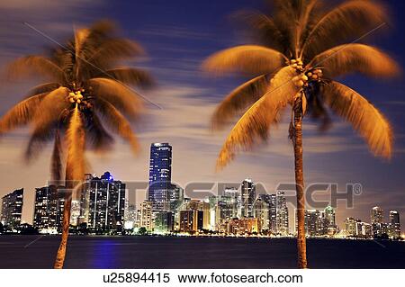 USA, Florida, Miami skyline at dusk View Large Photo Image Stock Photography - USA, Florida, Miami skyline at dusk. Fotosearch